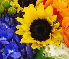 We are known throughout the region for our stunning floral. Products