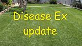 When autocomplete results are available use up and down arrows to review and enter to select. Scott S Disease Ex Azoxystrobin Youtube