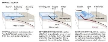 Geological survey map of tectonic plates show 21 of the major plates, as well as their movements and boundaries. How Are Tsunamis Generated Earth 501 Contemporary Controversies In The Earth Sciences