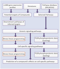 The Flow Chart Of The Proposed Approach To Infer A Cell Type
