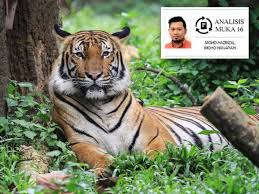 Hidupan liar ialah spesies haiwan liar atau burung liar,sama ada dilindungi sepenuhnya atau yang dilindungi, vertebrata atau invertebrata,hidup atau mati, matang atau tidak matang dan sama ada boleh dijinakkan atau dibiakkan dalam kurungan atau tidak definisi dibawah akta pemuliharaan hidupan. Selamatkan Spesies Harimau Malaya