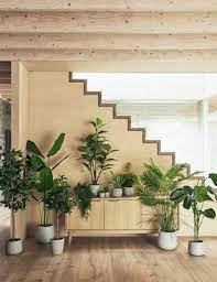 Maybe you would like to learn more about one of these? Artificial Floor Standing Fiddle Leaf Fig Tree M S