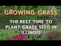 We did not find results for: The Best Time To Plant Grass Seed In Illinois Youtube