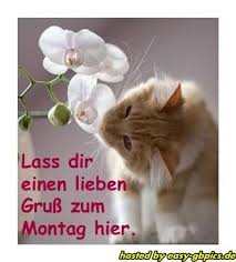 Guten morgen bilder für whatsapp. Montag Whatsapp Pics Gb Bilder Jappy Facebook Bilder