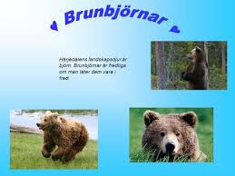Dovhjort Ett Intressant Vilt Ppt Video Online Ladda Ner