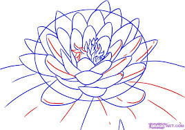 How To Draw A Lotus Flower Water Lily Step 4 Lotus Flower Colors Lilies Drawing Flower Coloring Pages