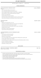 Everything that goes into creating a perfect insurance agent resume can take hours, days, even weeks. Insurance Agent Resume Sample Mintresume