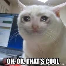 A little humor and pun can cheer up married couples, boyfriend, girlfriend, husband or. Crying Cat Know Your Meme