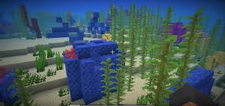 You will need to keep on holding required the button until the tube coral breaks. How To Harvest Coral In Minecraft Minecraft Guide