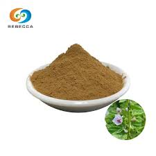 China Free Sample Epimedium Extract Powder Manufacturers Suppliers Factory  - Buy in Bulk - Rebecca