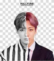 Bts Love Yourself Answer L Ver Bts Jungkook Transparent Background Png Clipart Overlays Transparent Background Bts Love Yourself Png