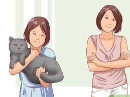 How To Pick Up A Cat 11 Steps With Pictures Wikihow