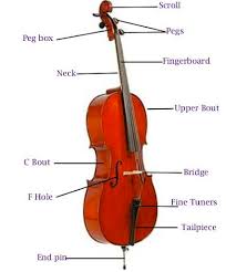 Cello Diagram Audrey Williams