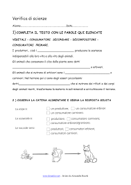 Ecosistema, catena alimentare, viventi add to my workbooks (7) download file pdf embed in my website or blog add to google classroom add to microsoft teams share through whatsapp Verifica Di Scienze