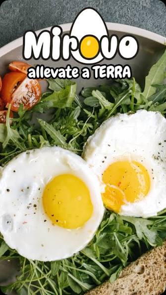 ☀️ L’estate ha il sapore della semplicità. 🥚, Ingredienti genuini e le  uova Mirovo®: il modo migliore per portare in tavola gusto, qualità e  benessere., Le nostre uova, fresche da allevamento a terra, ...