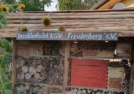 Details Zum Verein Freudenberg Ev