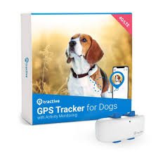 How To Adopt A Dog Checklist For Success Tractive Blog