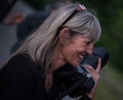 Tagetes, Studentenblume oder stinkende Hoffart genannt