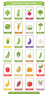 Free Printable Vegetable Flash Cards Download The Pdf At Flashcardfox Com Free Printable Veget In 2020 Flashcards Flashcards For Kids Learning English For Kids