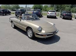 Image result for Giallo 1986 Alfa-Romeo