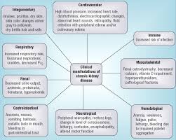 Chronic Kidney Disease Chronic Kidney Disease Kidney Disease Stages Chronic Renal Failure
