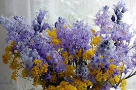 These are usually red, blue, and yellow or green, orange, and purple like on halloween. Purple And Yellow Lavender Aesthetic Violet Aesthetic Yellow Violet