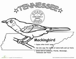 This resource allows students to color florida's state bird, flower, tree, and license plate. Tennessee State Bird Worksheet Education Com State Birds Study Unit Life Science
