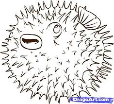 Pufferfish Puffer Fish Art Drawings Fish Drawings