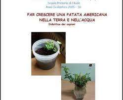 Percorso sulle catena alimentari per scuola primaria. Far Crescere La Patata Americana Nella Terra E Nell Acqua Rete Delle Geo Storie A Scala Locale
