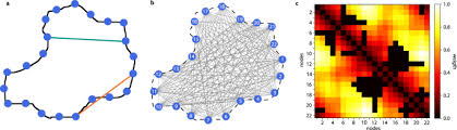 A white blood cell (wbc) in human blood is another example of a single cell which can change its shape. A Network Based Framework For Shape Analysis Enables Accurate Characterization Of Leaf Epidermal Cells Nature Communications