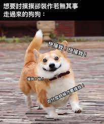 國際金價 國際銅價 國際鈀金 國際鉑金 國際銀價 比特幣 萊特幣 狗幣. 20å¼µè¶…å¥½ç¬' ç‹—ç‹— æ¢—åœ– å¿«ä¾†çœ‹çœ‹ç¶²å‹å€'çš„æžç¬'å‰µä½œ