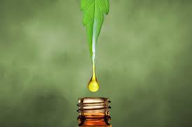 During vaping, the oils are not heated to combustion (like a tobacco cigarette) and this lower temperature. Cbd Oil Uk Discover The 8 Best Cbd Oils In The Uk For 2021 Discover Magazine