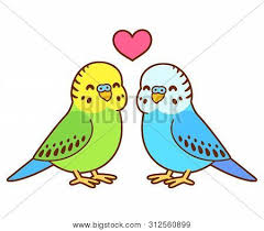 How to draw a cartoon turkey, how to draw a turkey, thanksgiving how to draw cute cartoon bird from lowercase letter 'f' shapes easy step by step drawing tutorial for kids. Cute Cartoon Budgie Vector Photo Free Trial Bigstock