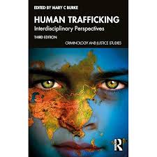 Torture as State Crime: A Criminological Analysis of the Transnational  Institutional Torturer (Crimes of the Powerful): Collard, Melanie:  9781138210059: Amazon.com: Books