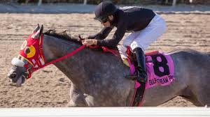 X Y Jet America S Best Racing Royal guards ' jet horse. x y jet america s best racing