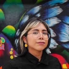 National Museum of Mexican Art, Pilsen, Chicago