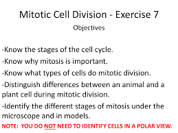 Cytokinesis is also different in plant cells due to presence of cell wall. Mitotic Cell Division