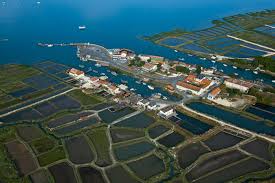La Cayenne Et Le Chenal De Marennes Marais De L Embouchure De La Seudre Marennes 17320 Charente Maritime 17 Charente Maritime Marennes Poitou Charentes