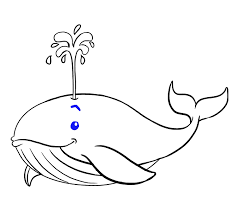 20,699 whale clip art images on gograph. How To Draw A Whale In A Few Easy Steps Easy Drawing Guides