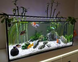 Aquascaping 240l With Goldfishes Front View By Sheiokee On Deviantart Fish Aquarium Decorations Fish Tank Themes Goldfish Aquarium