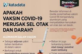 Check spelling or type a new query. Apakah Vaksin Covid 19 Merusak Sel Otak Dan Darah Infografik Katadata Co Id