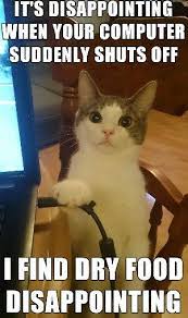 Computers And Dry Food Funny Cats Funny Cat Memes Cat Memes