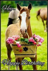 Happy Birthday Horse Happy Birthday Horse Cute Horses Horse Birthday