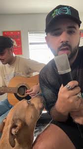 Louis Miceli (@loumicelijr)