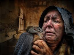 Photographic Alliance of Great Britain Inter-Fed Open PDI 2016