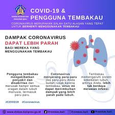 Infografis Covid 19 Dan Pengguna Tembakau Dinas Kesehatan Provinsi Bali