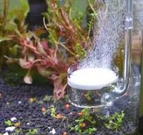 Amazon.com : Yagote CO2 Diffuser Glass Reactor with U Shape ...