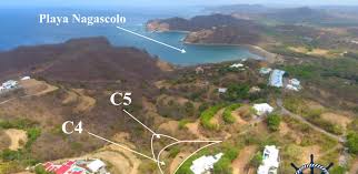 C4 & C5 Pacific Marlin