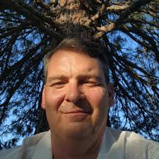 twitter/x's revenue collapse q2 2022: $661 million q2 2024: $114…