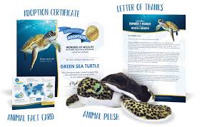 The us postal service does not guarantee delivery times. Adopt An Animal Wonders Of Wildlife National Museum Aquarium